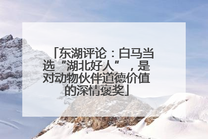 东湖评论：白马当选“湖北好人”，是对动物伙伴道德价值的深情褒奖