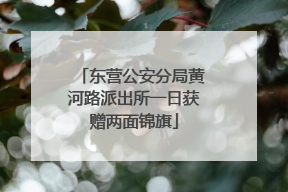 东营公安分局黄河路派出所一日获赠两面锦旗
