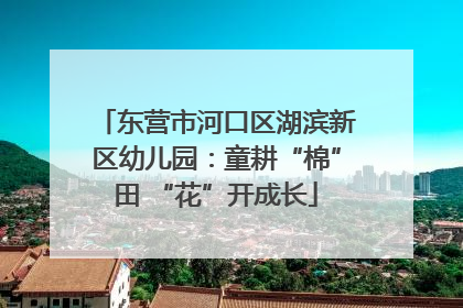 东营市河口区湖滨新区幼儿园：童耕“棉”田 “花”开成长