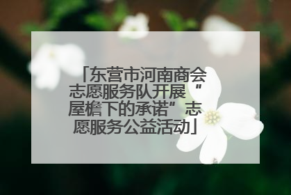 东营市河南商会志愿服务队开展“屋檐下的承诺”志愿服务公益活动