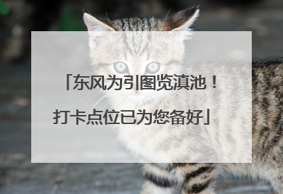 东风为引图览滇池！打卡点位已为您备好