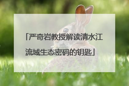 严奇岩教授解读清水江流域生态密码的钥匙