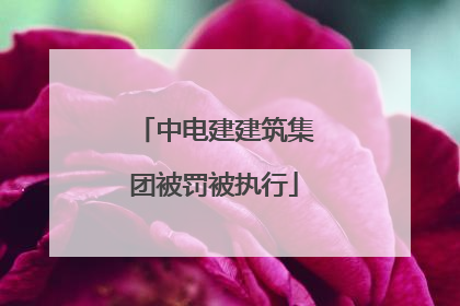 中电建建筑集团被罚被执行