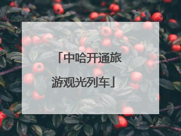 中哈开通旅游观光列车