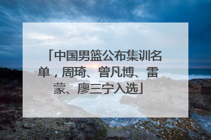 中国男篮公布集训名单，周琦、曾凡博、雷蒙、廖三宁入选