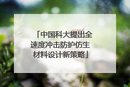 中国科大提出全速度冲击防护仿生材料设计新策略