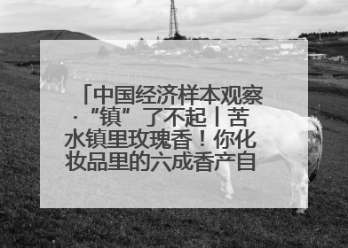 中国经济样本观察·“镇”了不起丨苦水镇里玫瑰香！你化妆品里的六成香产自这个小镇