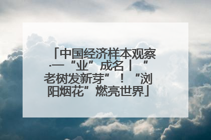 中国经济样本观察·一“业”成名丨“老树发新芽”！“浏阳烟花”燃亮世界