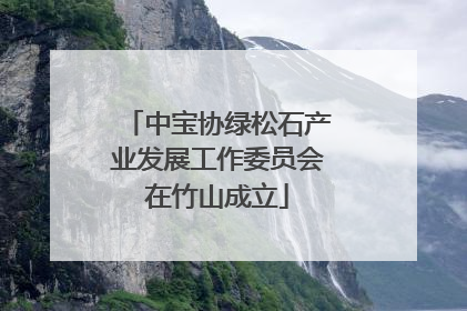 中宝协绿松石产业发展工作委员会在竹山成立