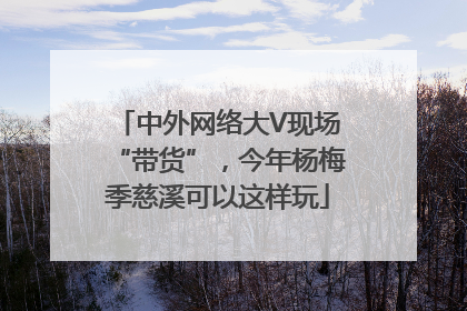 中外网络大V现场“带货”，今年杨梅季慈溪可以这样玩