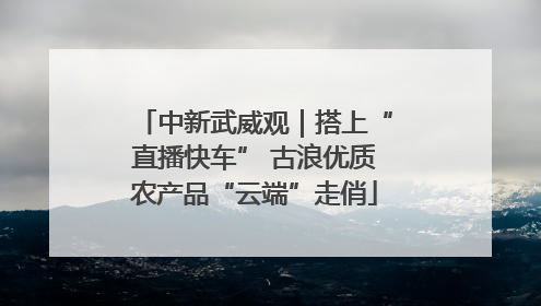 中新武威观｜搭上“直播快车” 古浪优质农产品“云端”走俏