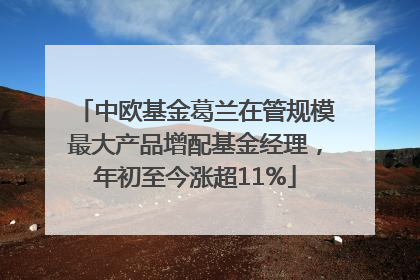 中欧基金葛兰在管规模最大产品增配基金经理，年初至今涨超11%