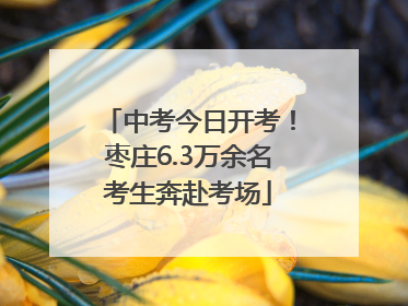 中考今日开考！枣庄6.3万余名考生奔赴考场