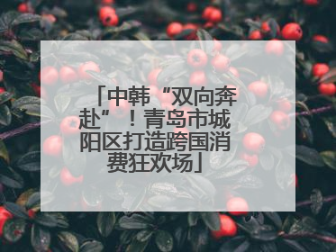 中韩“双向奔赴”！青岛市城阳区打造跨国消费狂欢场