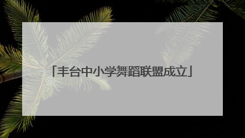 丰台中小学舞蹈联盟成立