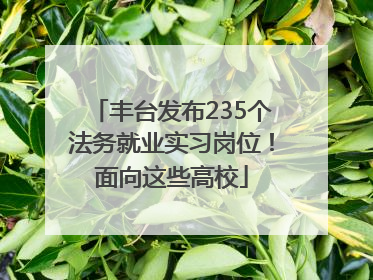 丰台发布235个法务就业实习岗位！面向这些高校