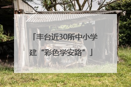 丰台近30所中小学建“彩色学安路”