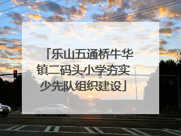 乐山五通桥牛华镇二码头小学夯实少先队组织建设