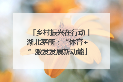 乡村振兴在行动丨湖北茅箭：“体育+”激发发展新动能