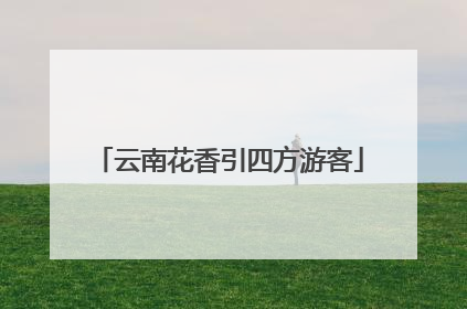云南花香引四方游客