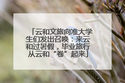 云和文旅向准大学生们发出召唤：来云和过暑假，毕业旅行从云和“卷”起来