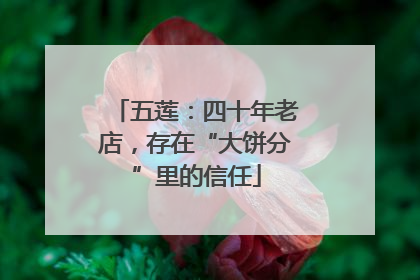 五莲：四十年老店，存在“大饼分”里的信任