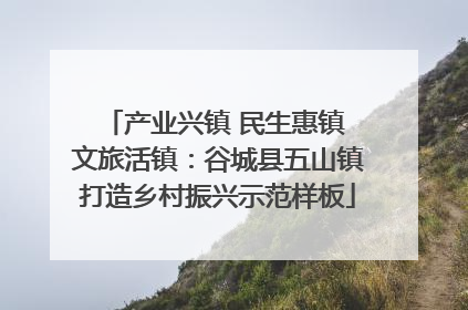 产业兴镇 民生惠镇 文旅活镇：谷城县五山镇打造乡村振兴示范样板