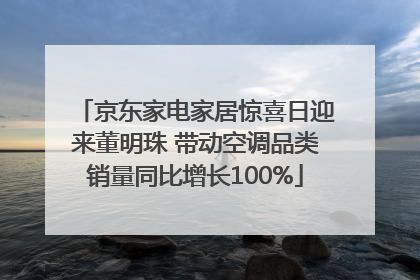 京东家电家居惊喜日迎来董明珠 带动空调品类销量同比增长100%