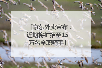 京东外卖宣布：近期将扩招至15万名全职骑手