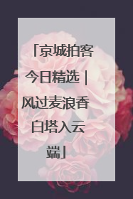 京城拍客今日精选｜风过麦浪香 白塔入云端