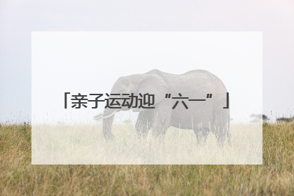 亲子运动迎“六一”