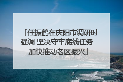 任振鹤在庆阳市调研时强调 坚决守牢底线任务 加快推动老区振兴