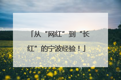 从“网红”到“长红”的宁波经验！