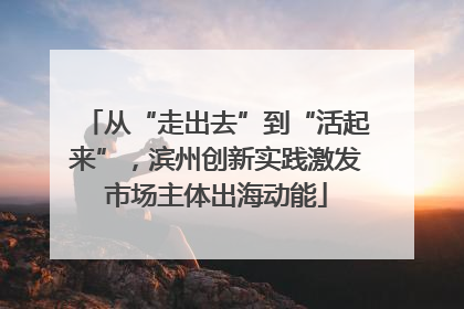 从“走出去”到“活起来”，滨州创新实践激发市场主体出海动能