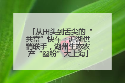 从田头到舌尖的“共富”快车：沪湖供销联手，湖州生态农产“圈粉”大上海