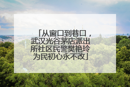 从窗口到巷口，武汉光谷茅店派出所社区民警樊艳玲为民初心永不改