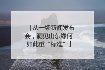 从一场新闻发布会，洞见山东缘何如此重“标准”