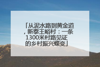 从泥水路到黄金道，新泰王峪村：一条1300米村路见证的乡村振兴蝶变