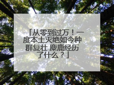 从零到过万！一度本土灭绝如今种群复壮 麋鹿经历了什么？