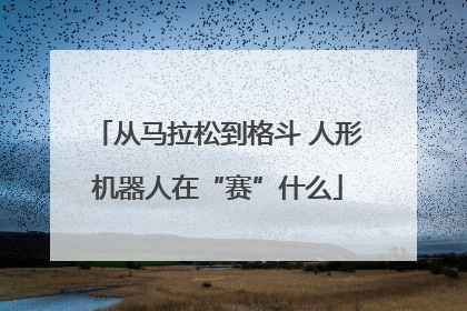 从马拉松到格斗 人形机器人在“赛”什么