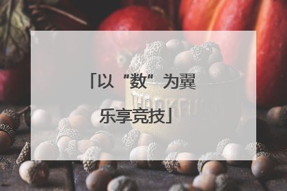 以“数”为翼 乐享竞技