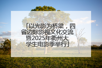 以光影为桥梁，四省边际影视文化交流暨2025年衢州大学生电影季举行