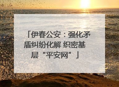 伊春公安：强化矛盾纠纷化解 织密基层“平安网”