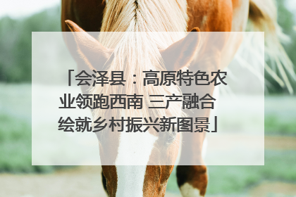 会泽县：高原特色农业领跑西南 三产融合绘就乡村振兴新图景