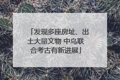 发现多座房址、出土大量文物 中乌联合考古有新进展