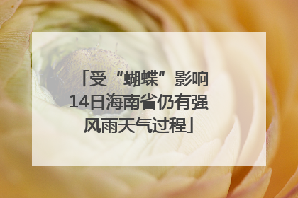 受“蝴蝶”影响 14日海南省仍有强风雨天气过程