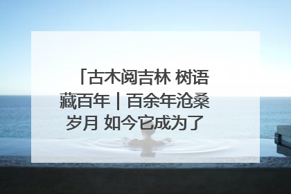 古木阅吉林 树语藏百年｜百余年沧桑岁月 如今它成为了“镇园之宝”