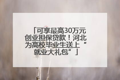 可享最高30万元创业担保贷款！河北为高校毕业生送上“就业大礼包”