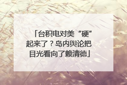 台积电对美“硬”起来了？岛内舆论把目光看向了赖清德
