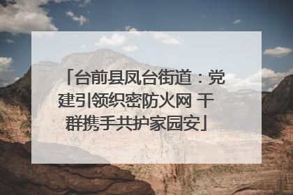 台前县凤台街道：党建引领织密防火网 干群携手共护家园安